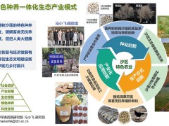沙蓬綠色種養(yǎng)一體化生態(tài)產(chǎn)業(yè)模式